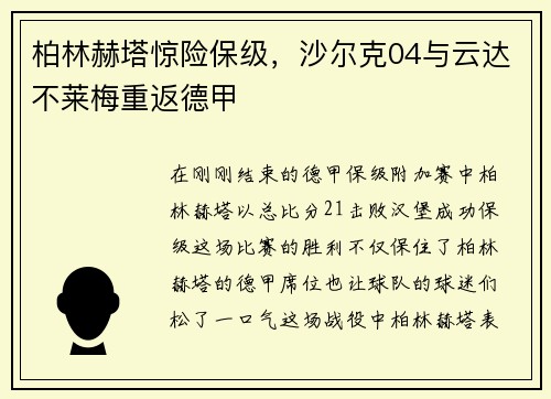 柏林赫塔惊险保级，沙尔克04与云达不莱梅重返德甲