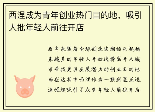 西涅成为青年创业热门目的地，吸引大批年轻人前往开店